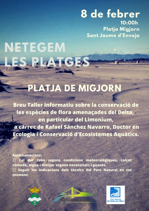 Neteja a la platja de Migjorn