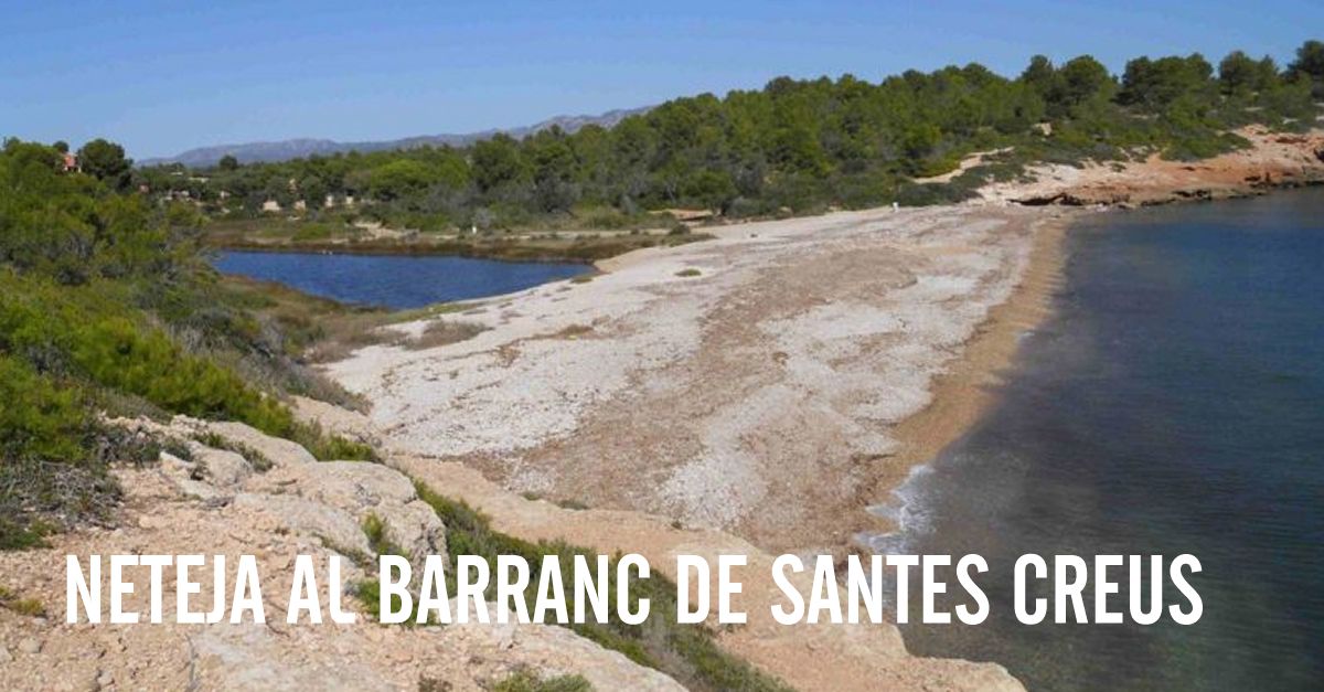 Limpieza del barranco de Santes Creus