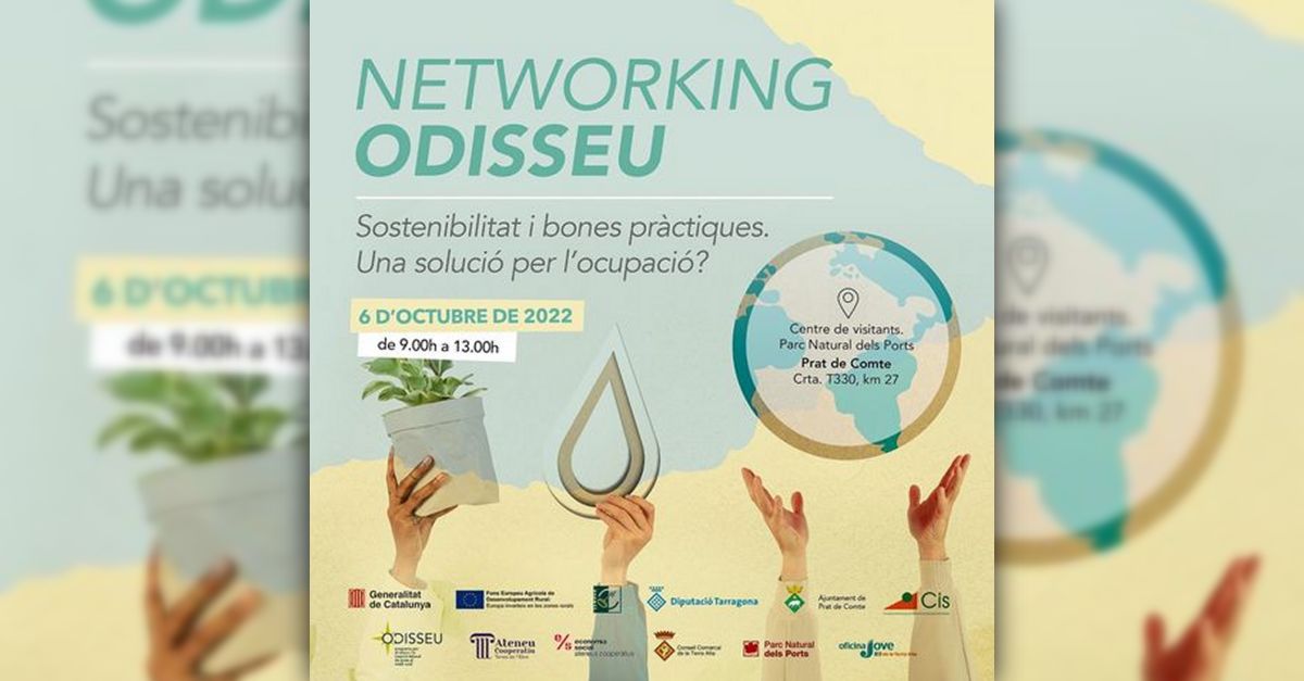 Networking Odisseu_ Sostenibilitat i bones prctiques. Una soluci per locupaci?