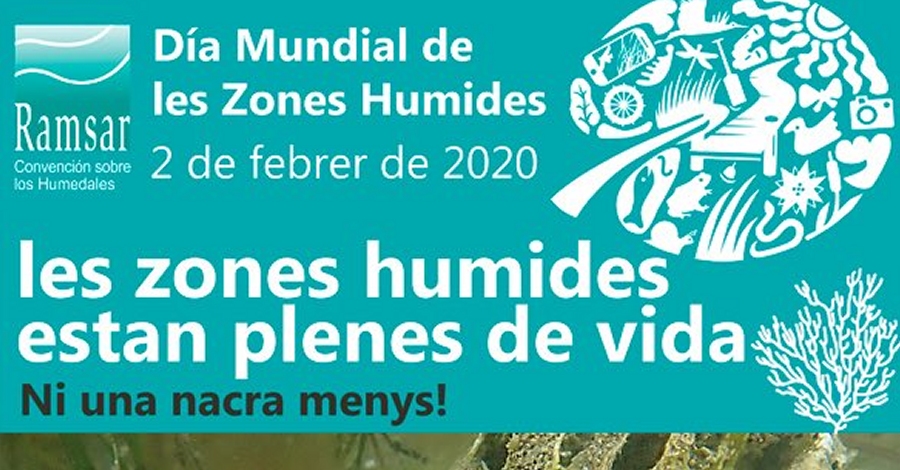 Les zones humides estan plenes de vida. Ni una nacra menys!