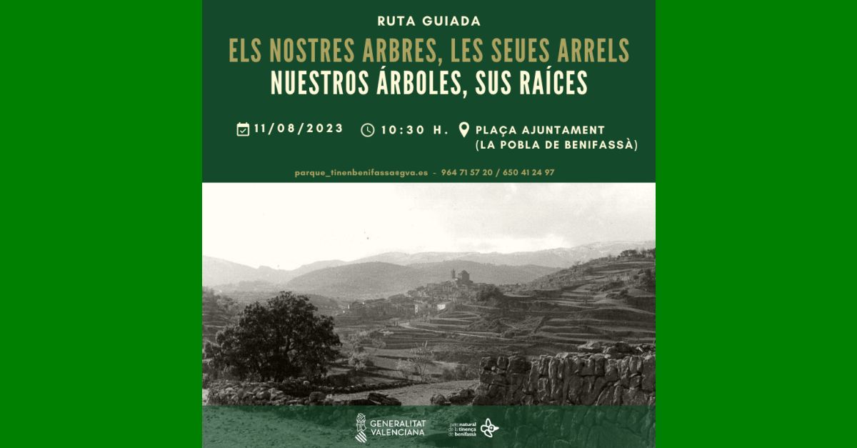 Nuestros rboles, sus raices