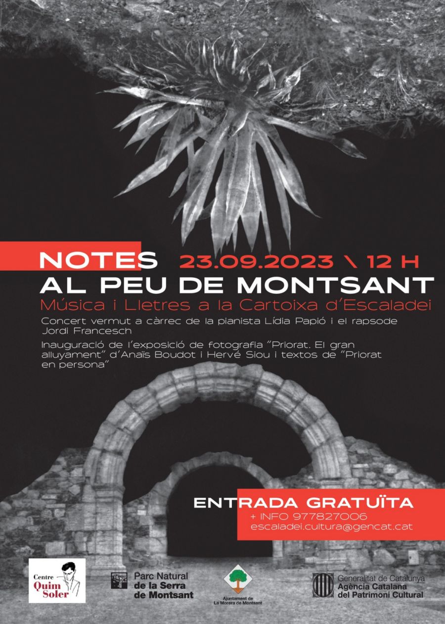 Notes al peu de Montsant