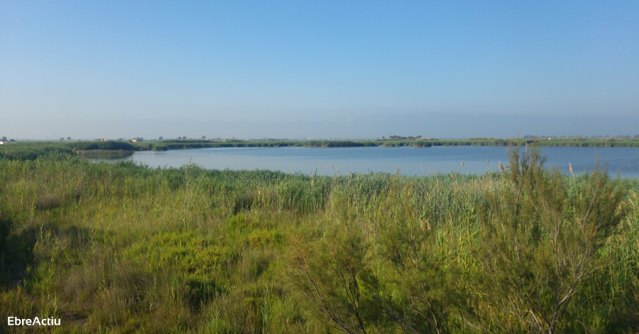 Nova edici del Curs Punt d’informaci al Parc Natural del Delta de l’Ebre | EbreActiu.cat, revista digital d’oci actiu | Terres de l’Ebre ...