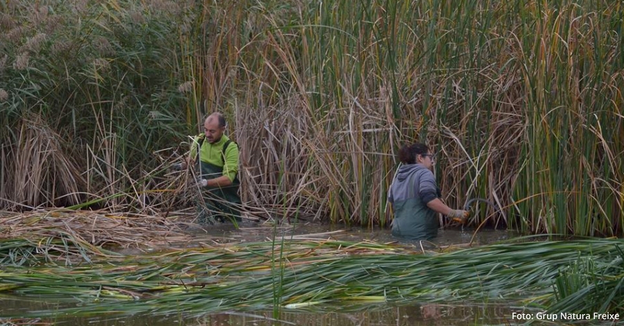 Nova jornada de voluntariat a la Reserva Natural de Sebes (Flix) dins del projecte VOLCAT | EbreActiu.cat, revista digital d’oci actiu | Terres de l’Ebre ...