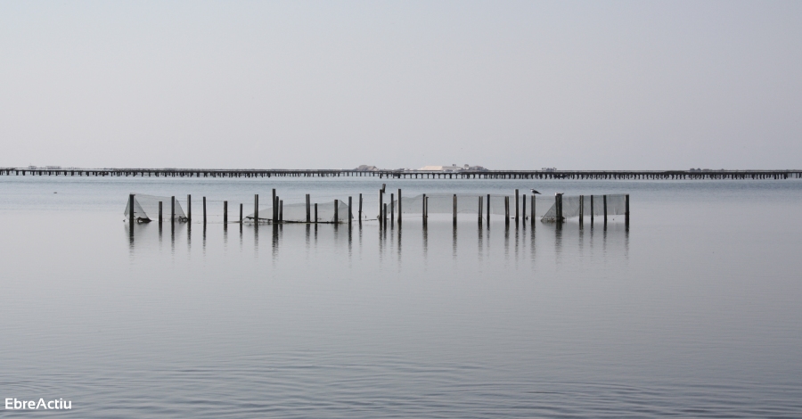 Delta Ebre Port presenta una nova ruta de xrter nutic que uneix Barcelona i el Delta de l’Ebre | EbreActiu.cat, revista digital d’oci actiu | Terres de l’Ebre ...