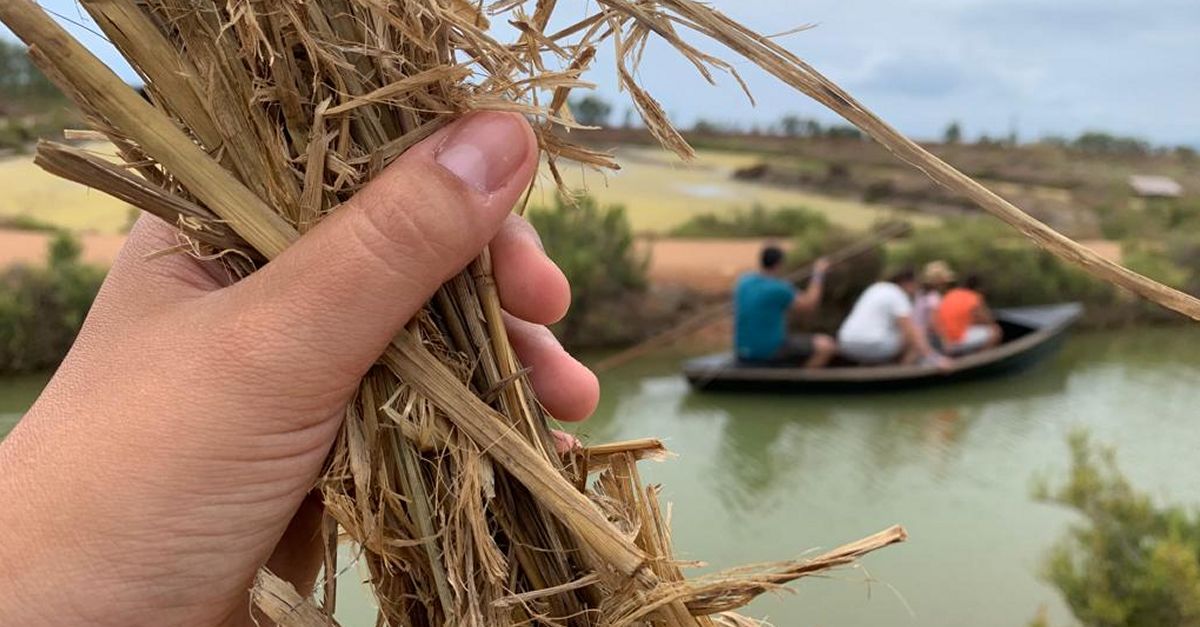 Aquest estiu, nova visita sensorial per descobrir el Delta de l’Ebre | EbreActiu.cat, revista digital d’oci actiu | Terres de l’Ebre ...