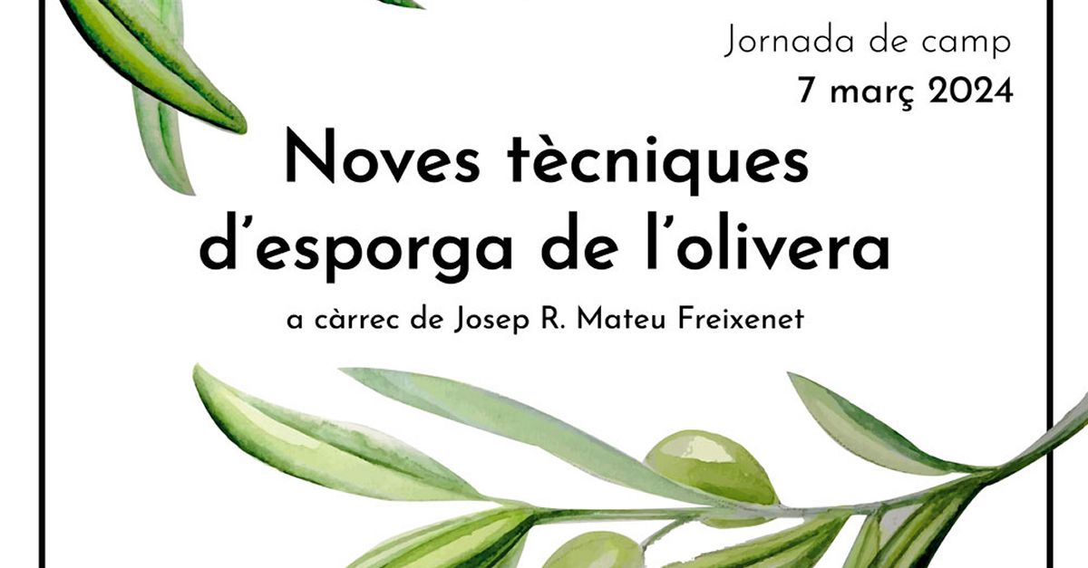 Jornada de Campo Noves tcniques desporga de lolivera. 