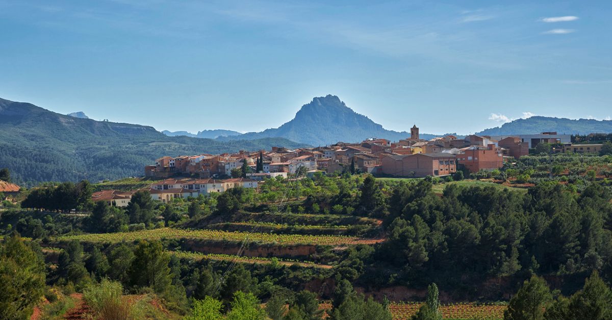 El Cicle Estacions torna a Bot amb propostes culturals al voltant de l’art, la natura i el vi | EbreActiu.cat, revista digital d’oci actiu | Terres de l’Ebre ...