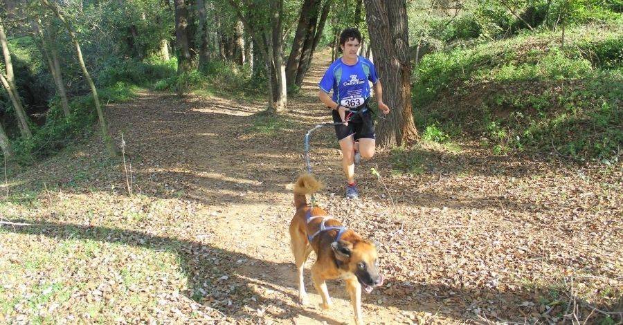 Masdenverge abre este sbado el II Circuito de Canicross Terres de l’Ebre | EbreActiu.cat, revista digital de ocio activo | Terres de l’Ebre...