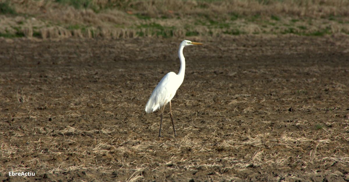 Prepareu les cmeres, el DBF Photo Contest ja ha comenat! | EbreActiu.cat, revista digital d’oci actiu | Terres de l’Ebre ...