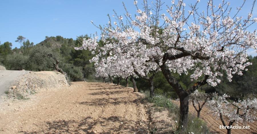 Dissenyar finques agrcoles ms eficaces i sostenibles | EbreActiu.cat, revista digital d’oci actiu | Terres de l’Ebre ...