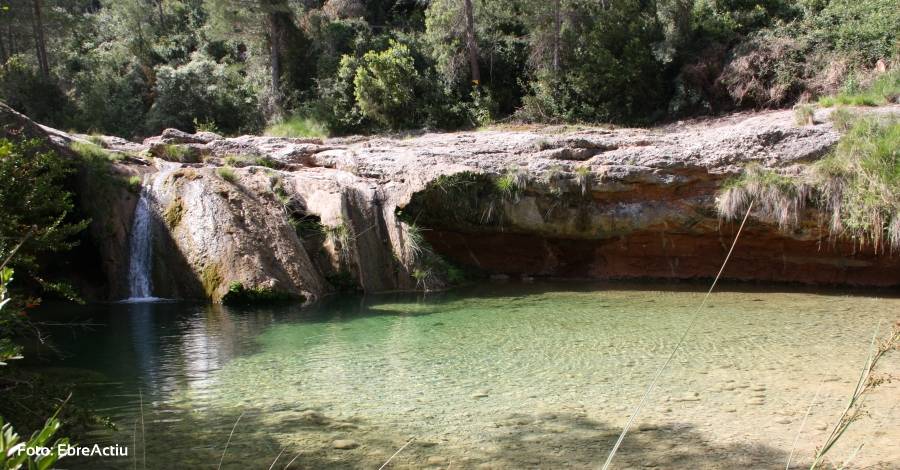 24 de maig, Da Europeo de los Parques Naturales | EbreActiu.cat, revista digital de ocio activo | Terres de l’Ebre...