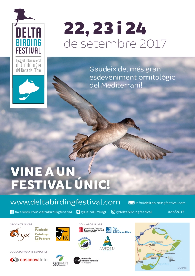 Avui comena la 4a edici del Delta Birding Festival | EbreActiu.cat, revista digital d’oci actiu | Terres de l’Ebre ...