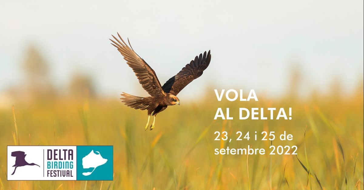 Aquest setembrevola al Delta! | EbreActiu.cat, revista digital d’oci actiu | Terres de l’Ebre ...