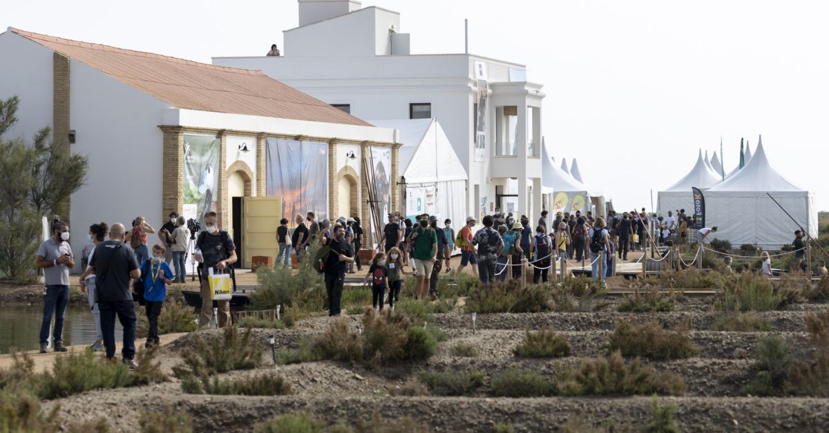 El Delta de l’Ebre acull la fira ornitolgica ms important del mediterrani, amb activitats per a tots els pblics | EbreActiu.cat, revista digital d’oci actiu | Terres de l’Ebre ...