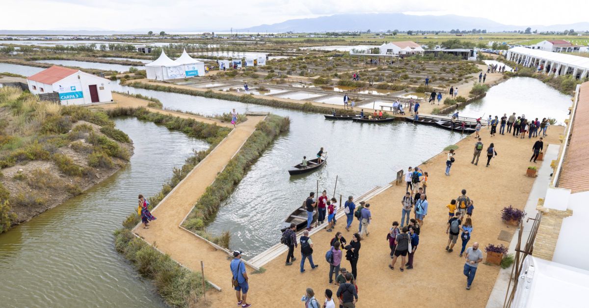 Nueva edicin del festival ornitolgico de referencia en el Mediterrneo | EbreActiu.cat, revista digital de ocio activo | Terres de l’Ebre...