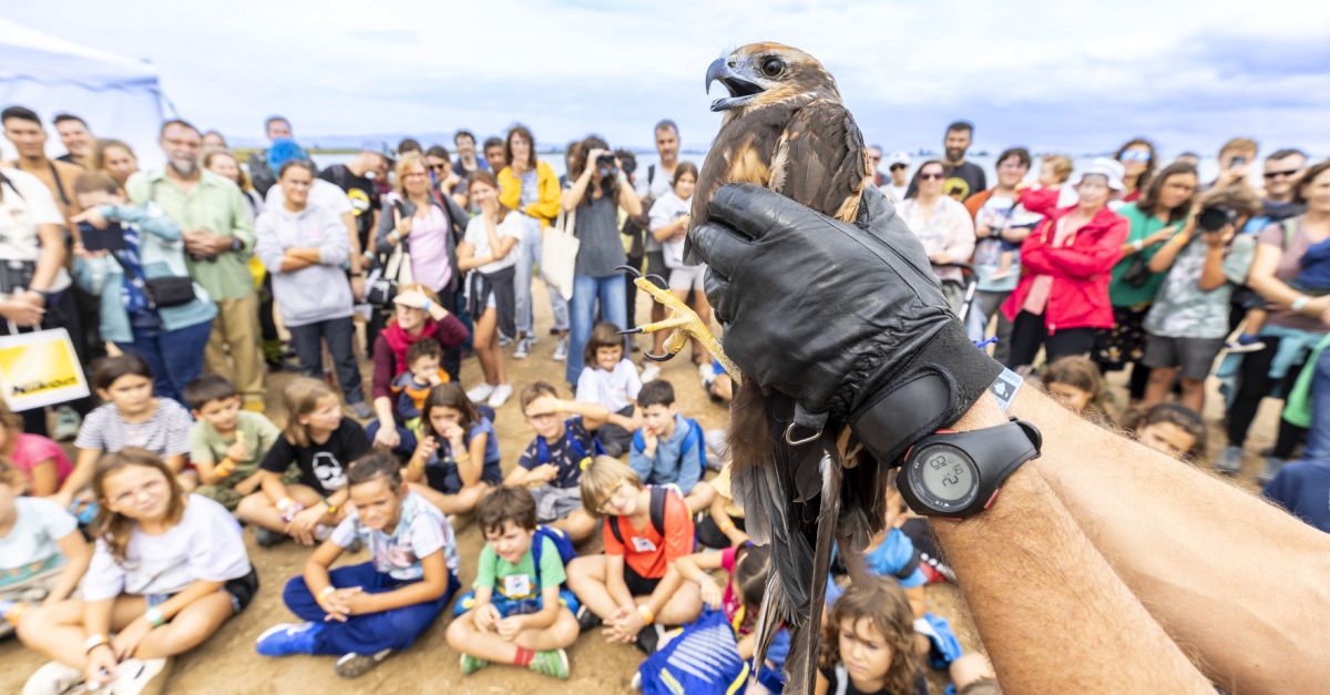 Nueva edicin del festival ornitolgico de referencia en el Mediterrneo | EbreActiu.cat, revista digital de ocio activo | Terres de l’Ebre...