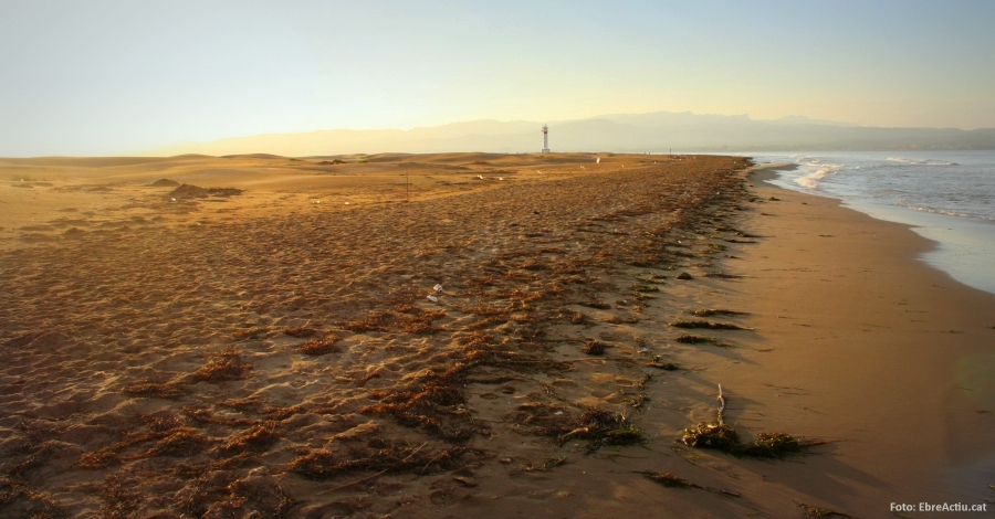 Disset platges de les Terres de l’Ebre guardonades amb el distintiu Platges verges | EbreActiu.cat, revista digital d’oci actiu | Terres de l’Ebre ...