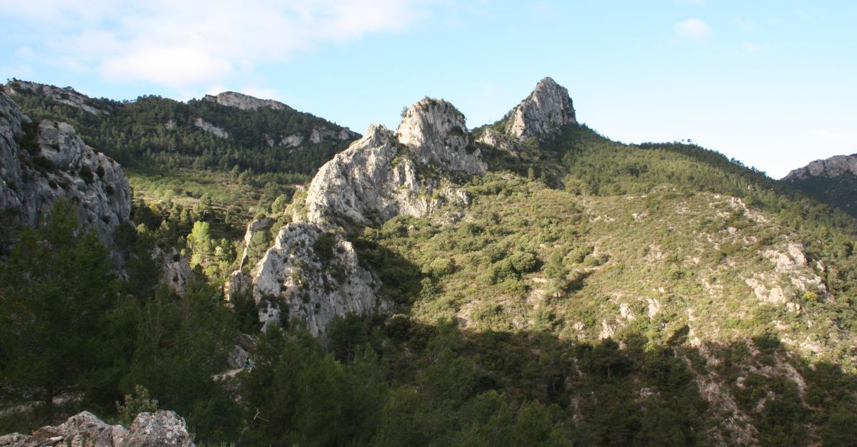 Una nova proposta d’EbreRic, obrint-nos a nous camins | EbreActiu.cat, revista digital d’oci actiu | Terres de l’Ebre ...