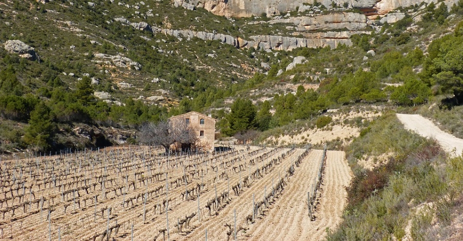 Escaladei acull la celebraci del Dia del Paisatge.0 i els 10 anys de la Candidatura del Priorat a patrimoni de la UNESCO | EbreActiu.cat, revista digital d’oci actiu | Terres de l’Ebre ...