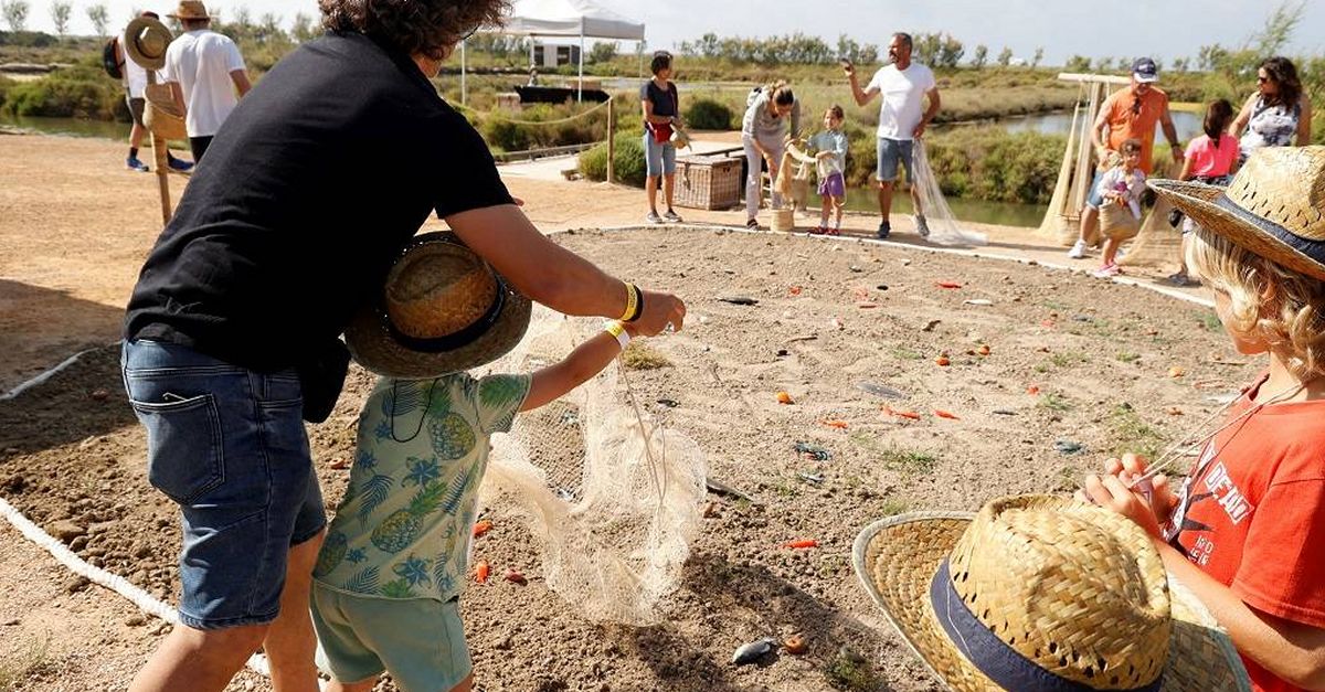 Mnnatura Delta de l’Ebre celebrar la 9a Festa dels Menuts el 3 i 4 de juny | EbreActiu.cat, revista digital d’oci actiu | Terres de l’Ebre ...