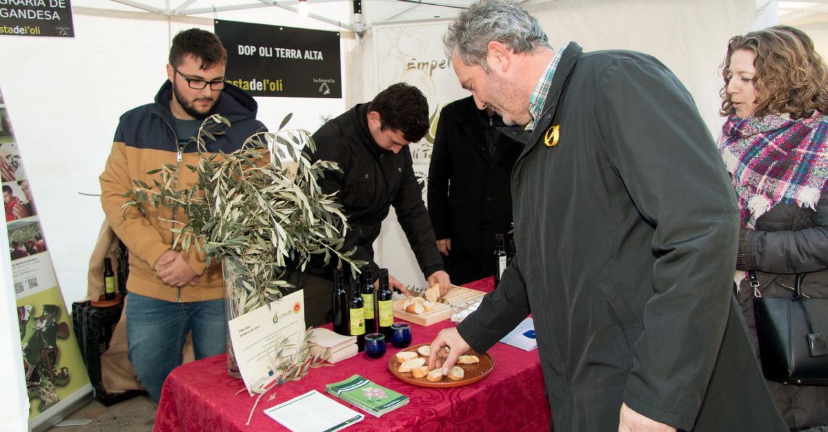 La Festa de l’Oli de la Fatarella ja t data  | EbreActiu.cat, revista digital d’oci actiu | Terres de l’Ebre ...