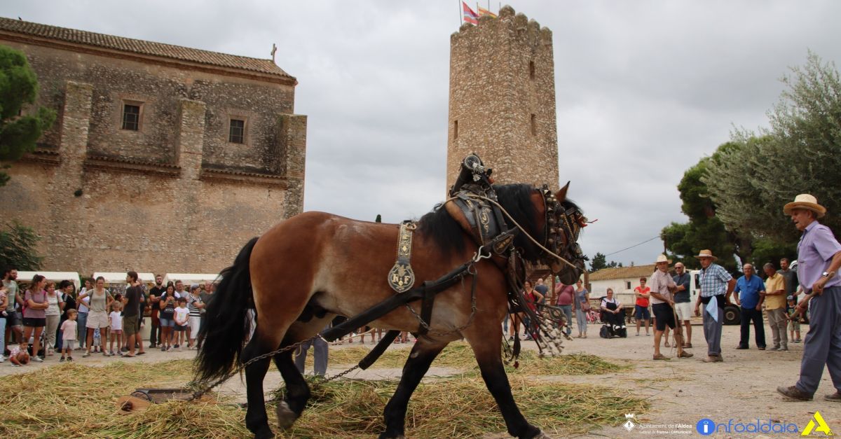 L’Aldea celebra este domingo la Fiesta de la Sega del Arroz | EbreActiu.cat, revista digital de ocio activo | Terres de l’Ebre...