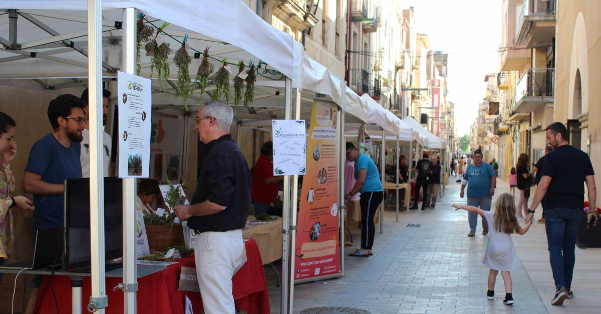 La fira gora posa el seu granet d’arena en el cam cap a la transici a una energia ms sostenible i justa amb l’entorn | EbreActiu.cat, revista digital d’oci actiu | Terres de l’Ebre ...