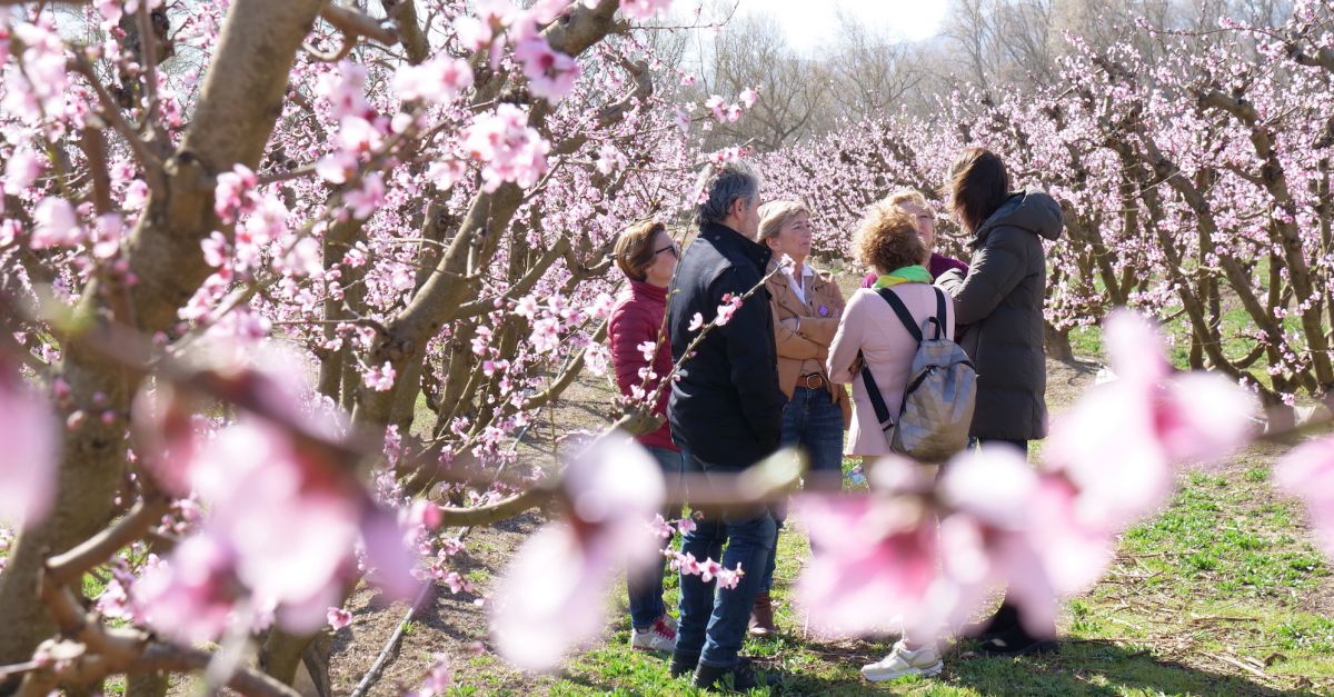 La Ribera d’Ebre programa diverses experincies turstiques per gaudir de la floraci dels arbres fruiters | EbreActiu.cat, revista digital d’oci actiu | Terres de l’Ebre ...