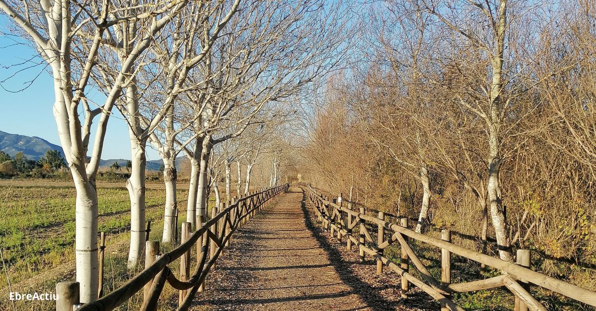 Itinerari sonor i musical pels paisatges del bosc i les aus de ribera | EbreActiu.cat, revista digital d’oci actiu | Terres de l’Ebre ...