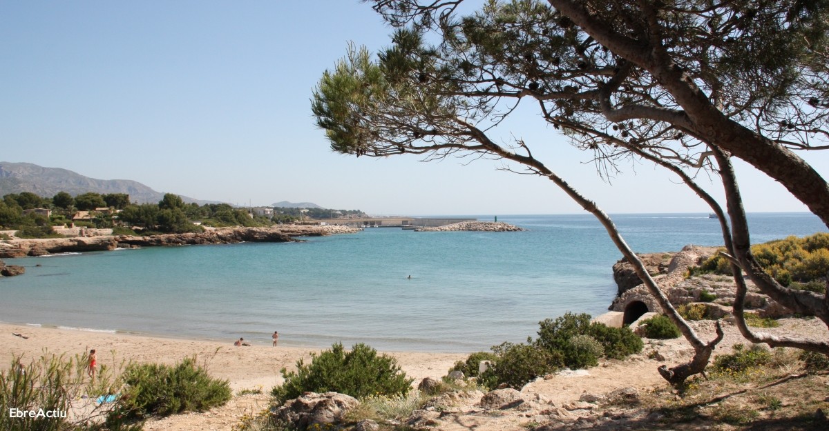 L’Ametlla de Mar tanca el mes d’agost com el segon millor dels ltims cinc anys | EbreActiu.cat, revista digital d’oci actiu | Terres de l’Ebre ...