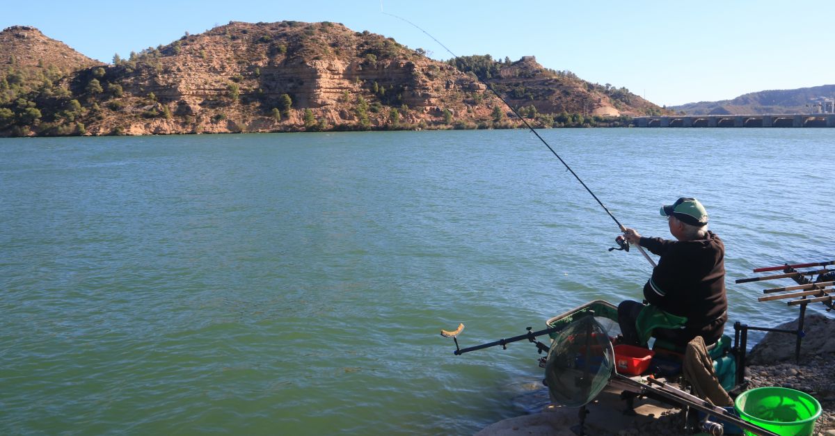 La Federaci Catalana de Pesca demana canviar la llei catalana per evitar sacrificar captures d’espcies invasores | EbreActiu.cat, revista digital d’oci actiu | Terres de l’Ebre ...