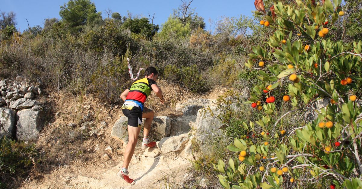 La XVIII edici de la Pujada al Montsi Memorial Francesc Bort (Madro) ho te tot a punt per a gaudir del mar de muntanya amb xifres rcord | EbreActiu.cat, revista digital d’oci actiu | Terres de l’Ebre ...