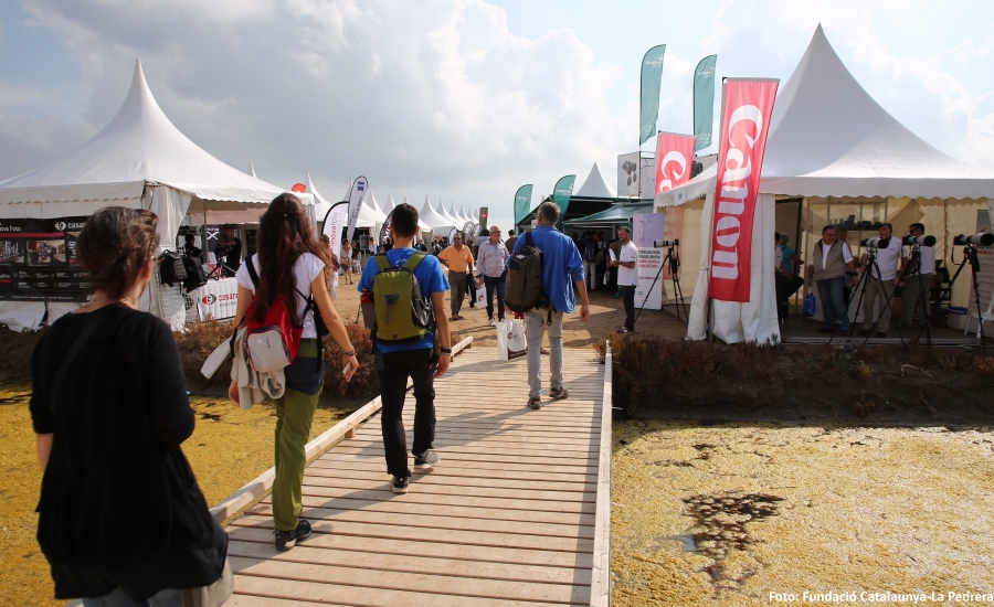 La 4a edici del Delta Birding Festival rep un 15% ms de visitants | EbreActiu.cat, revista digital d’oci actiu | Terres de l’Ebre ...