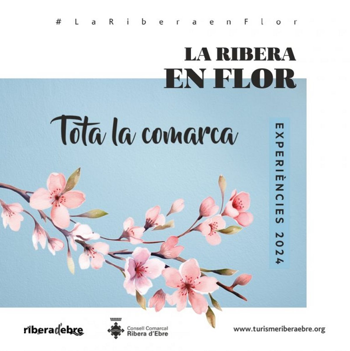 La Ribera en flor ofereix 18 experincies per gaudir de la floraci dels arbres fruiters | EbreActiu.cat, revista digital d’oci actiu | Terres de l’Ebre ...