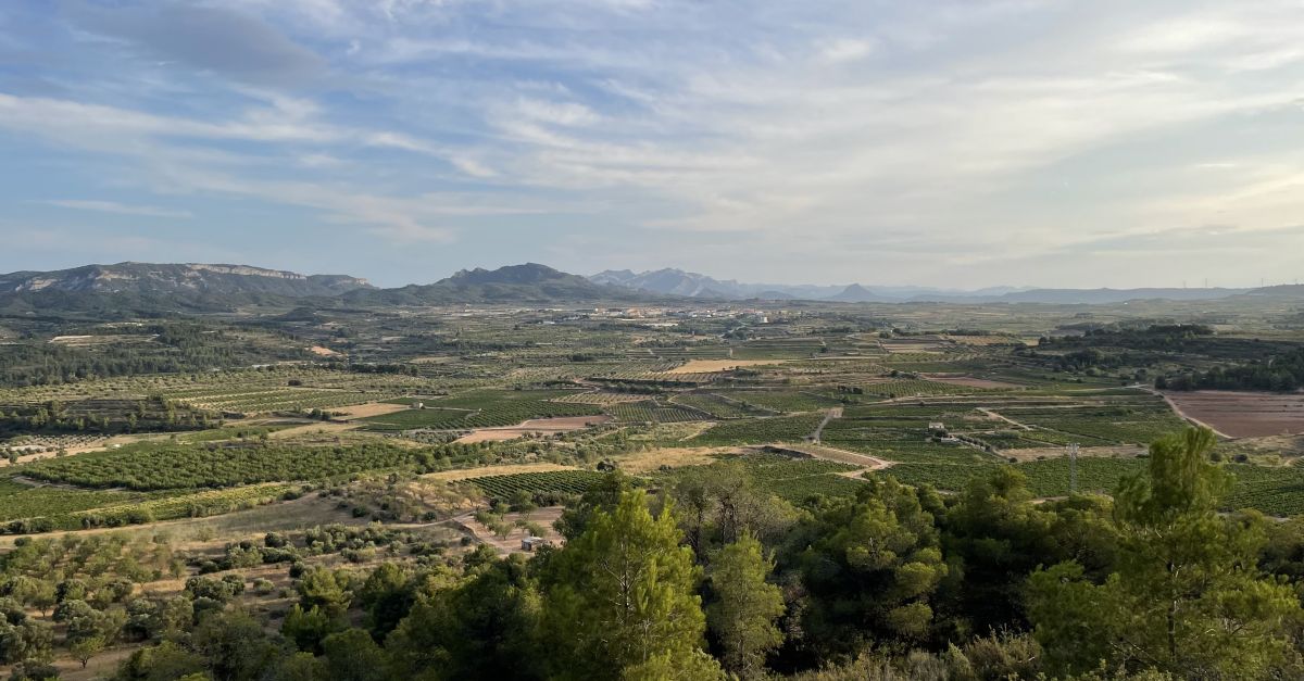 El Festival Terra Roja s’estrena amb l’objectiu de posar en valor el ruralisme i el patrimoni natural a la Terra Alta | EbreActiu.cat, revista digital d’oci actiu | Terres de l’Ebre ...