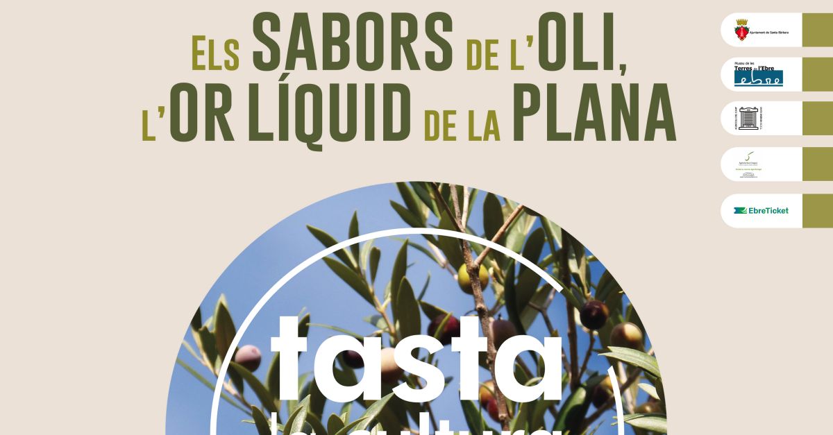 Tasta la cultura de lEbre. Los sabores del aceite de oliva, el oro lquido de la Plana