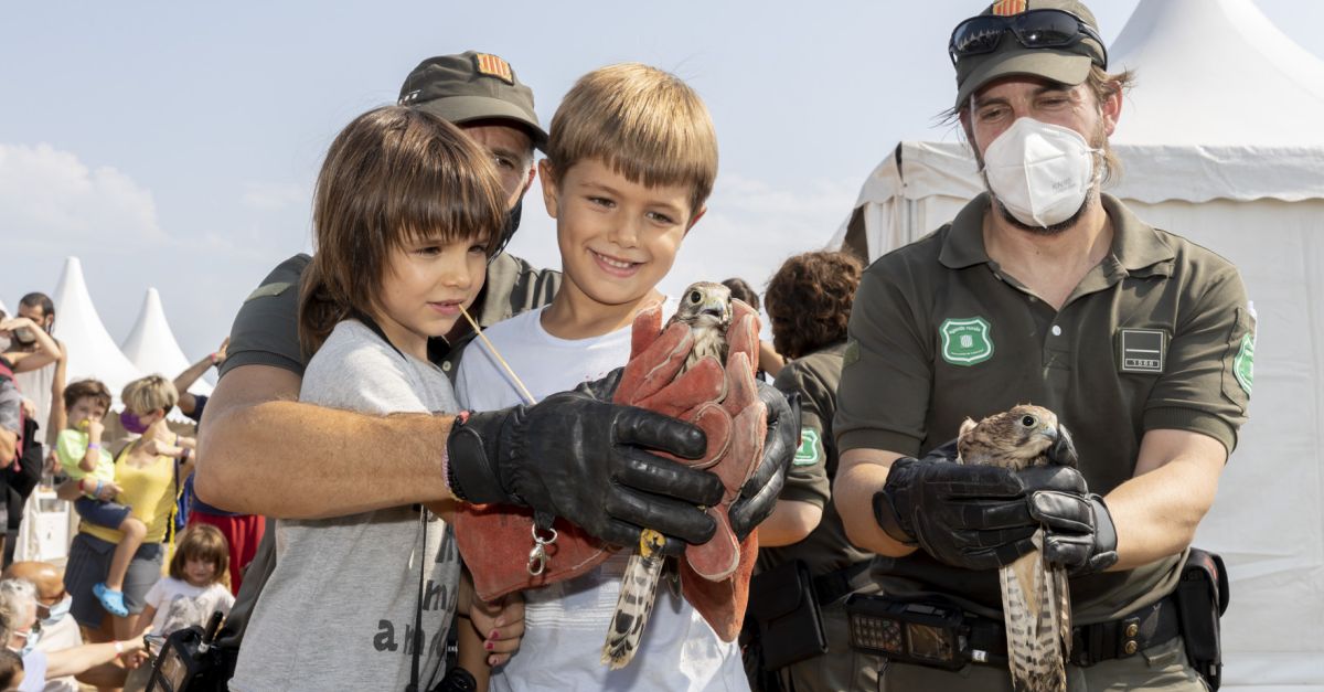 Acaba la setena edici del Delta Birding Festival amb gran xit de pblic i erigint-se com a cita ornitolgica ineludible de la mediterrnia | EbreActiu.cat, revista digital d’oci actiu | Terres de l’Ebre ...