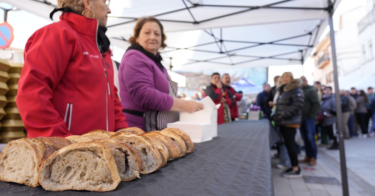 La XVIII Festa Comarcal de la Clotxa reivindica el sector agroalimentari i el futur sostenible de la Ribera d’Ebre | EbreActiu.cat, revista digital d’oci actiu | Terres de l’Ebre ...