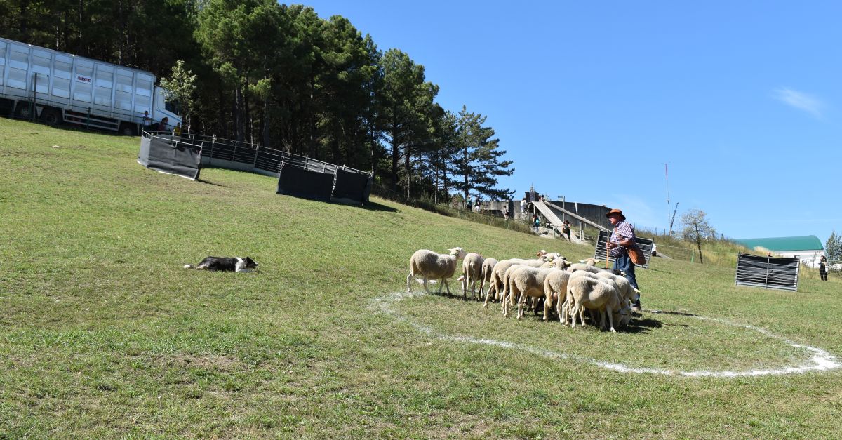 Intens cap de setmana amb la Fira de Morella | EbreActiu.cat, revista digital d’oci actiu | Terres de l’Ebre ...