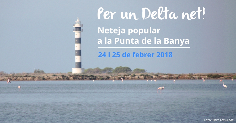 Por un Delta limpio: Limpieza en la Punta de la Banya