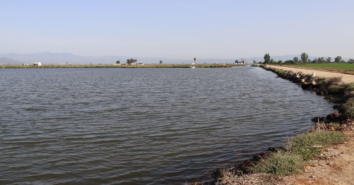 El Govern preveu acabar les obres de les guardes de les basses del Delta al mar i iniciar les de les badies al maig | EbreActiu.cat, revista digital d’oci actiu | Terres de l’Ebre ...