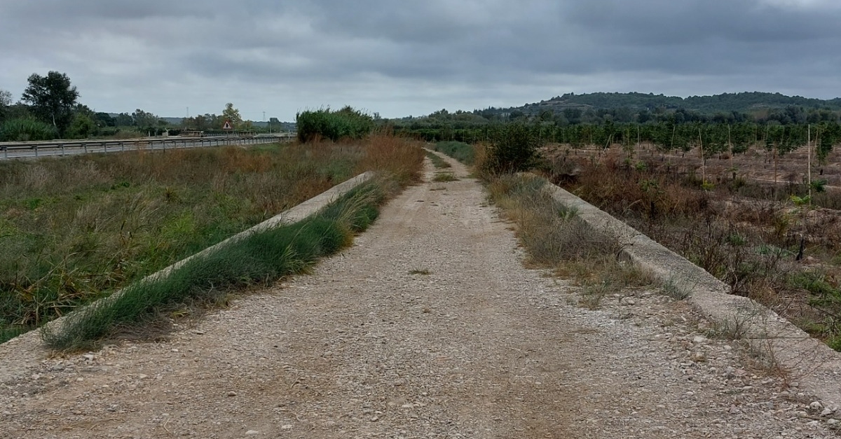 Aprovat el projecte d’extensi de la Via Verda de la Val de Zafan, fase 2, entre Tortosa, Amposta i la Rpita | EbreActiu.cat, revista digital d’oci actiu | Terres de l’Ebre ...