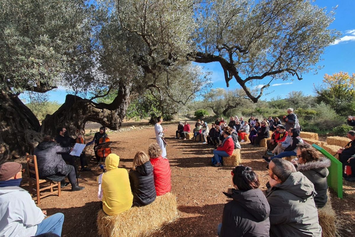 Una olivera de Cervera del Maestre distingida amb el Premi a la Millor Olivera Monumental d’Espanya 2024 | EbreActiu.cat, revista digital d’oci actiu | Terres de l’Ebre ...