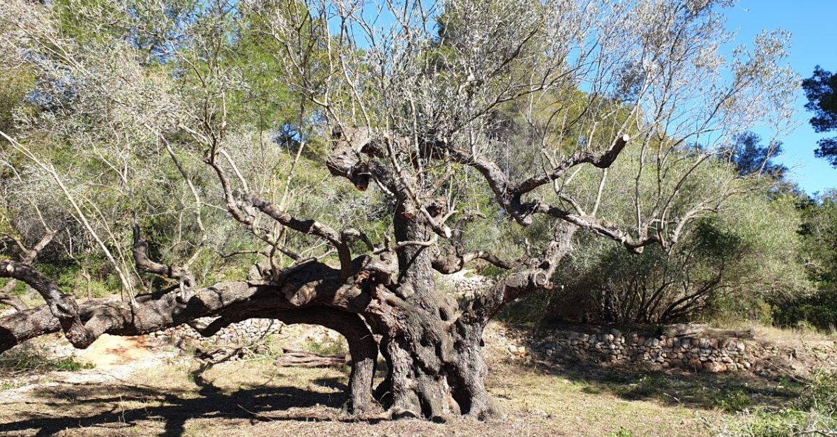 Campred | EbreActiu.cat, revista digital d’oci actiu | Terres de l’Ebre ...