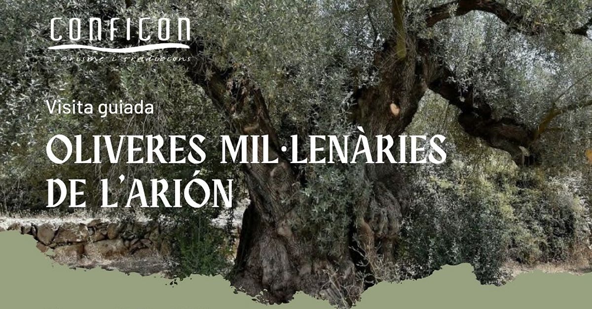 Visita guiada a les oliveres millenries de lArin