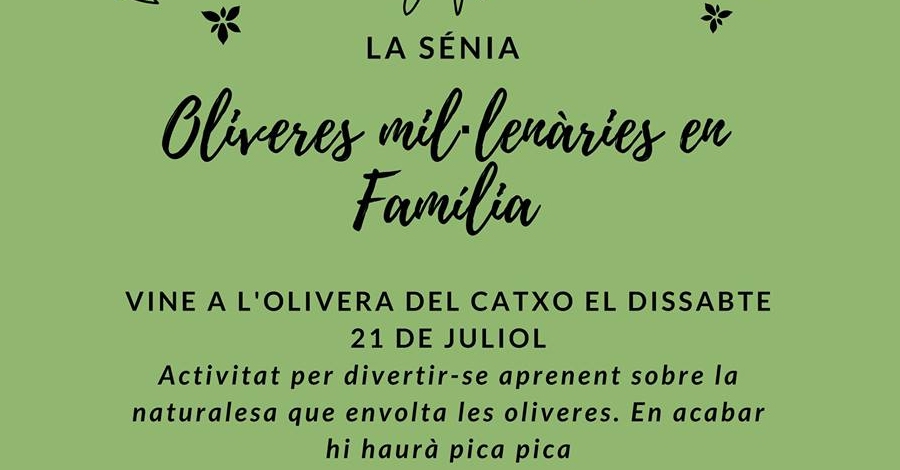 Oliveres millenries en famlia