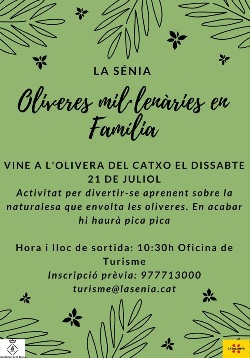 Oliveres millenries en famlia