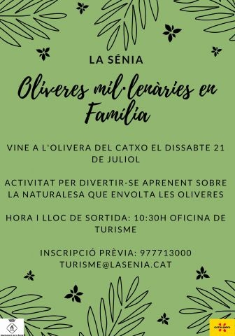 Oliveres millenries en famlia: Vine a lOlivera del Catxo 