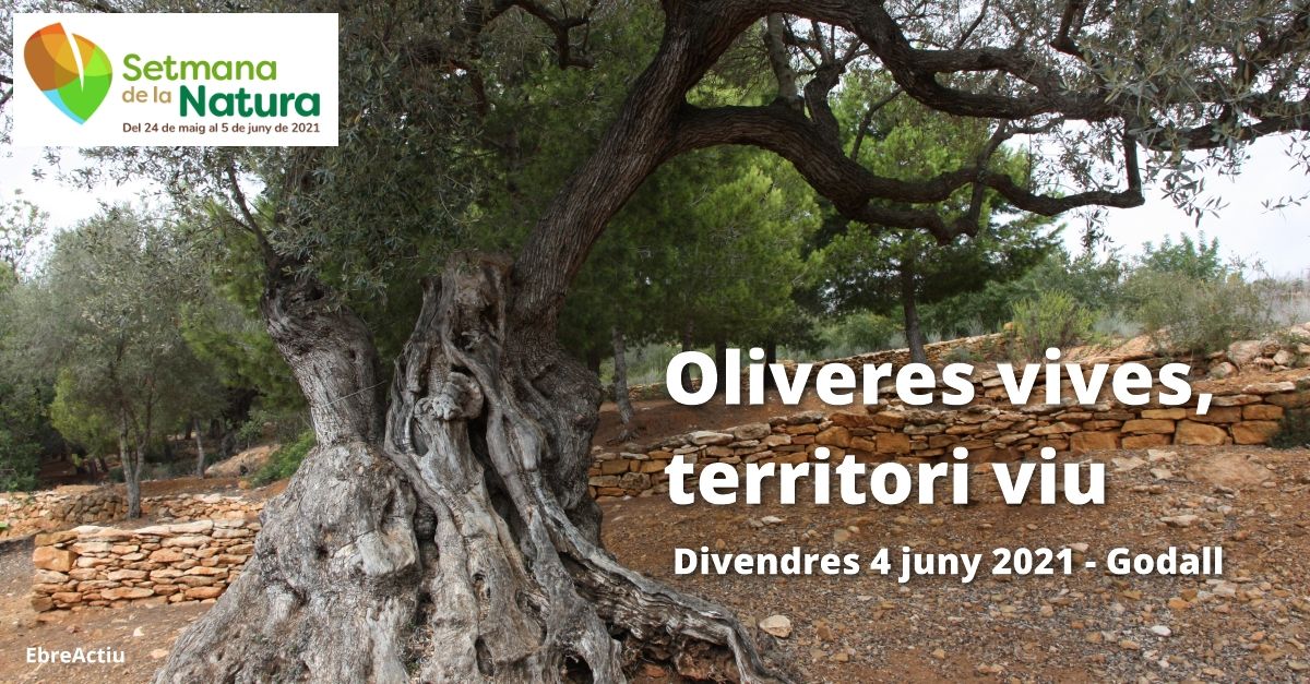 Setmana de la Natura: Oliveres Vives, territori viu